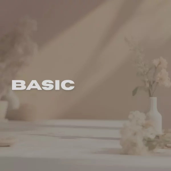 Basis Paket – Der perfekte Einstieg