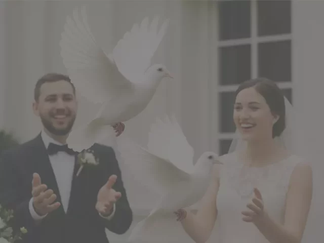Hochzeitstauben Service Loster