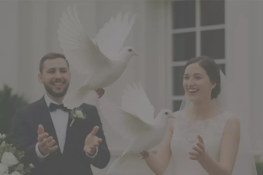Hochzeitstauben Service Loster