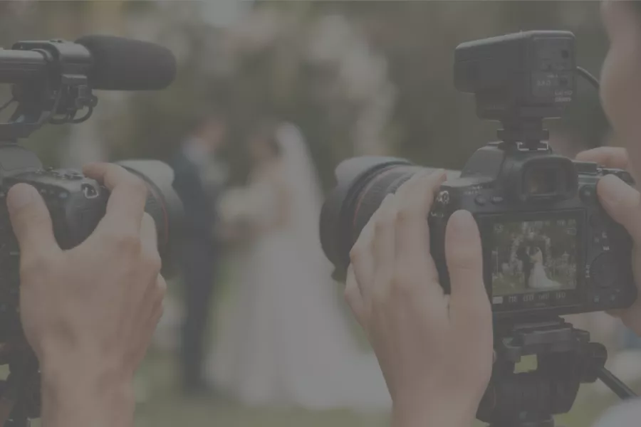 Vivid Wedding