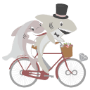 Hai-Rad